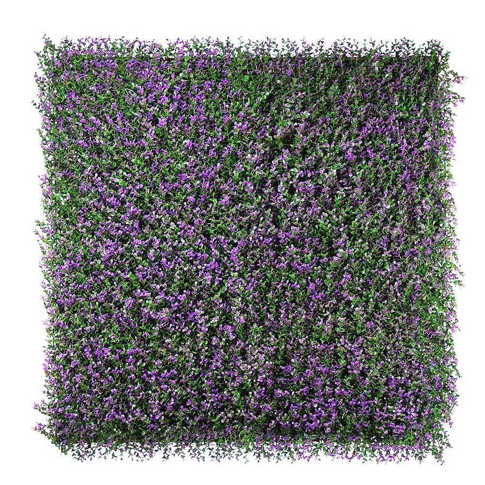 Lavanda