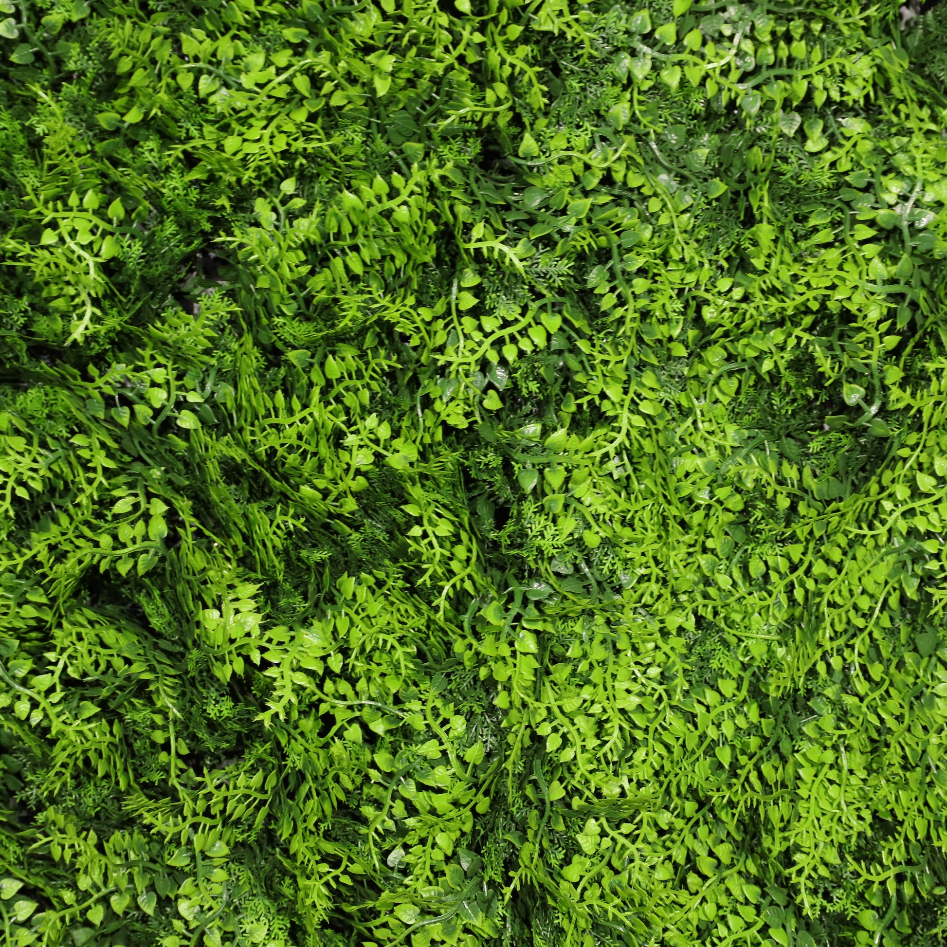 Helecho deluxe ignífugo