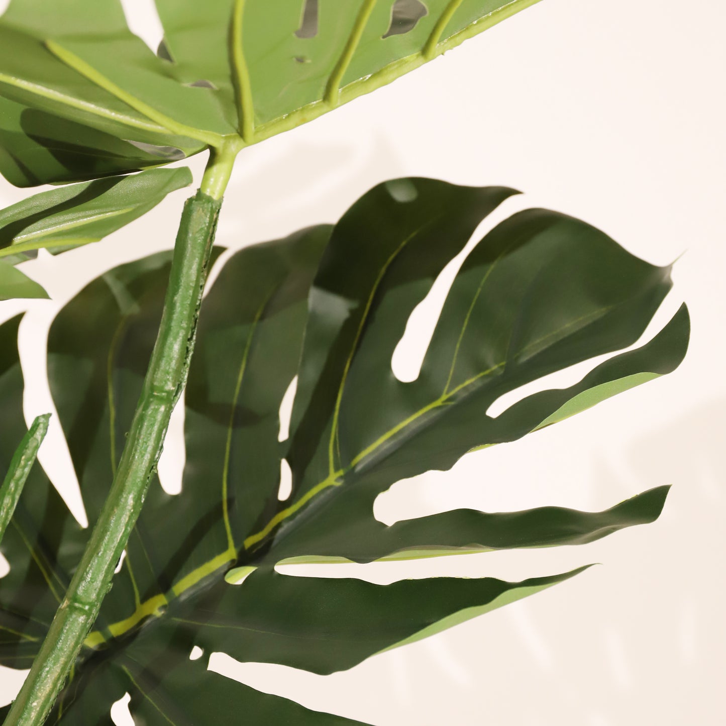 Monstera 120cm