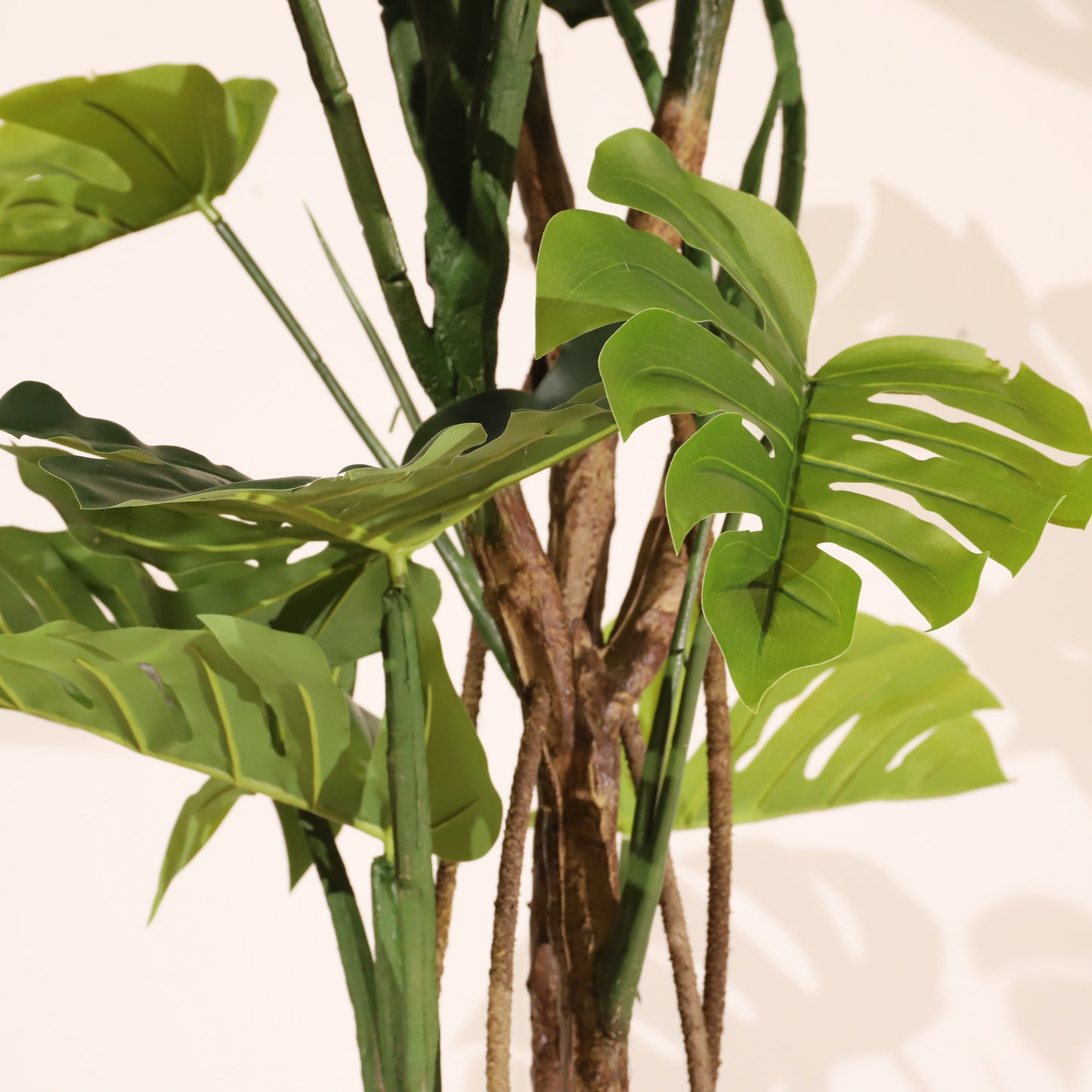 Monstera 160cm