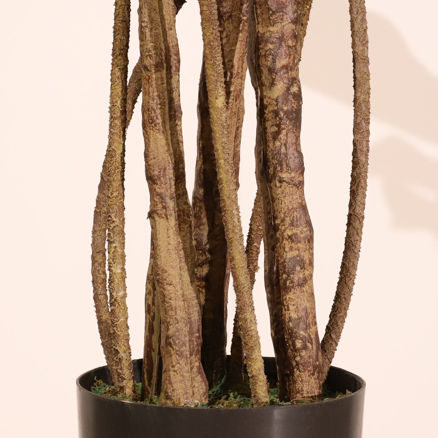 Monstera 160cm