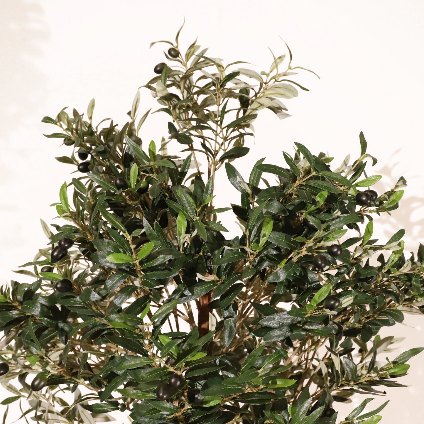 Olivo Mediterráneo 150cm