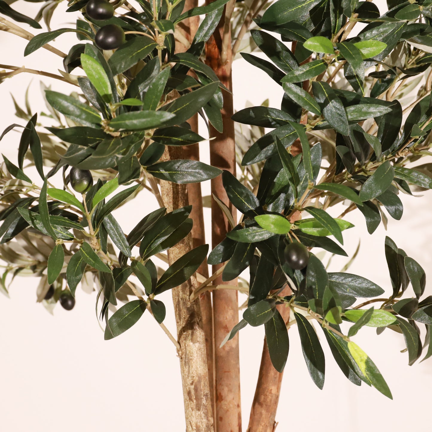 Olivo Mediterráneo 150cm