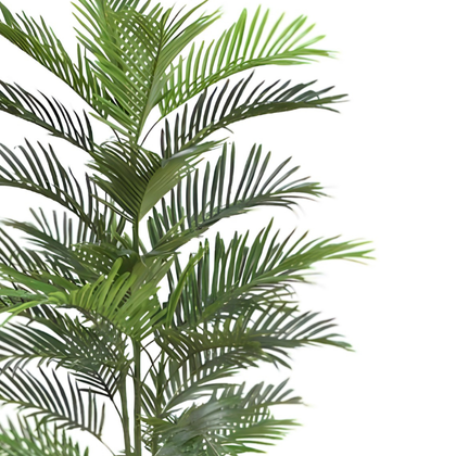 Palmera 150cm