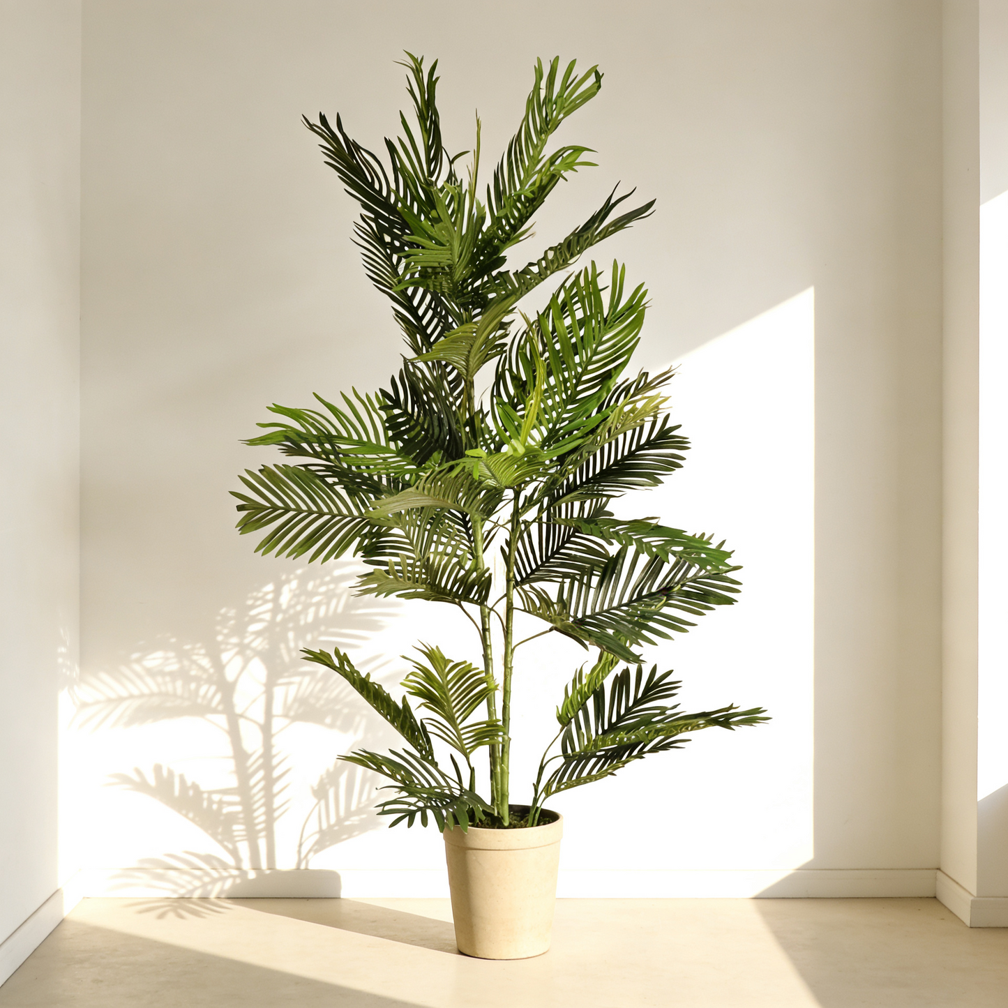 Palmera 150cm