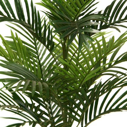 Palmera 85cm