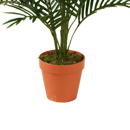 Palmera 85cm