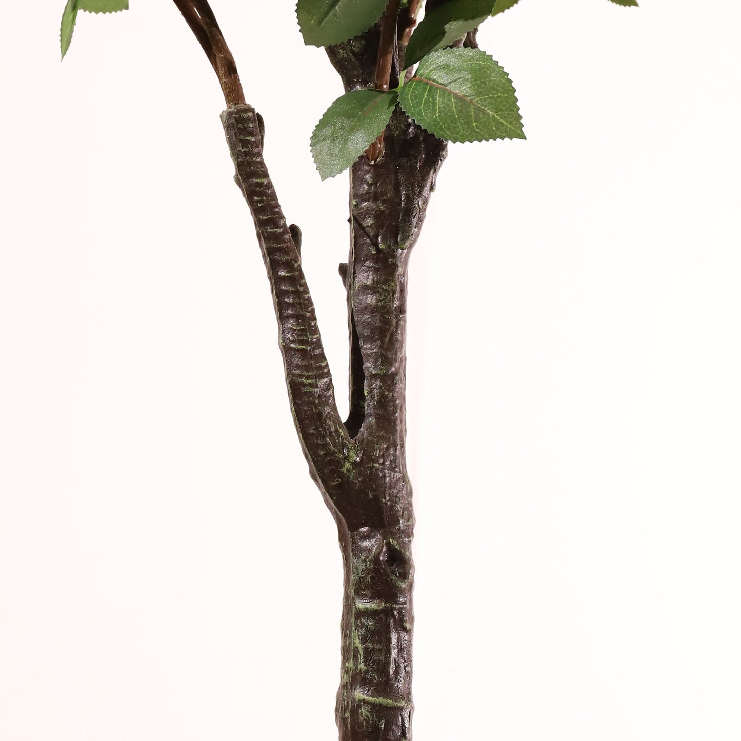 Rosal rosa 160 cm