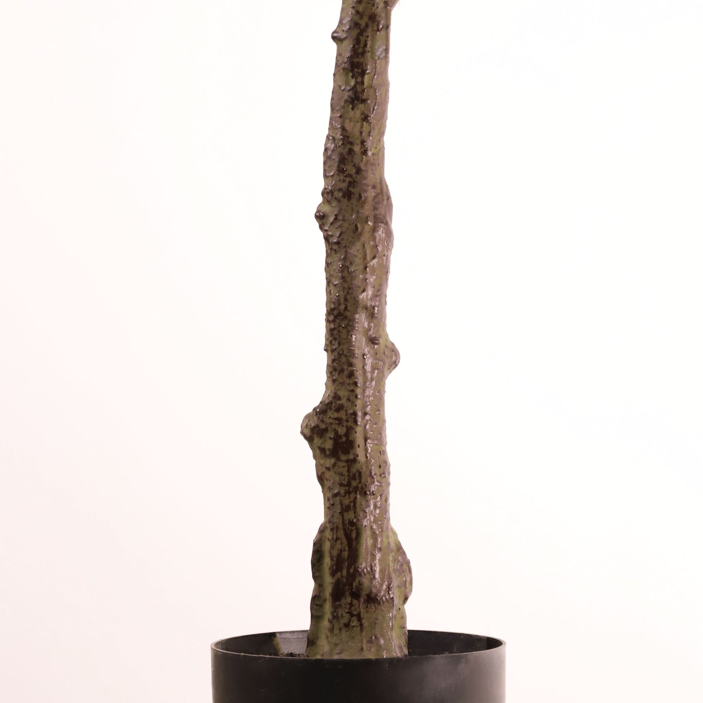 Arce rojo 170 cm