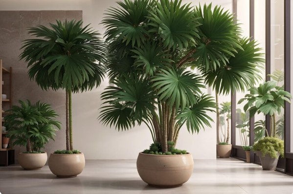 Plantas artificiales grandes para hogares modernos: consejos de estilo 2026 para terrazas, salones y oficinas