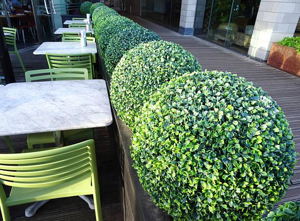 Cómo Crear Espacios Exteriores Acogedores con Plantas Artificiales
