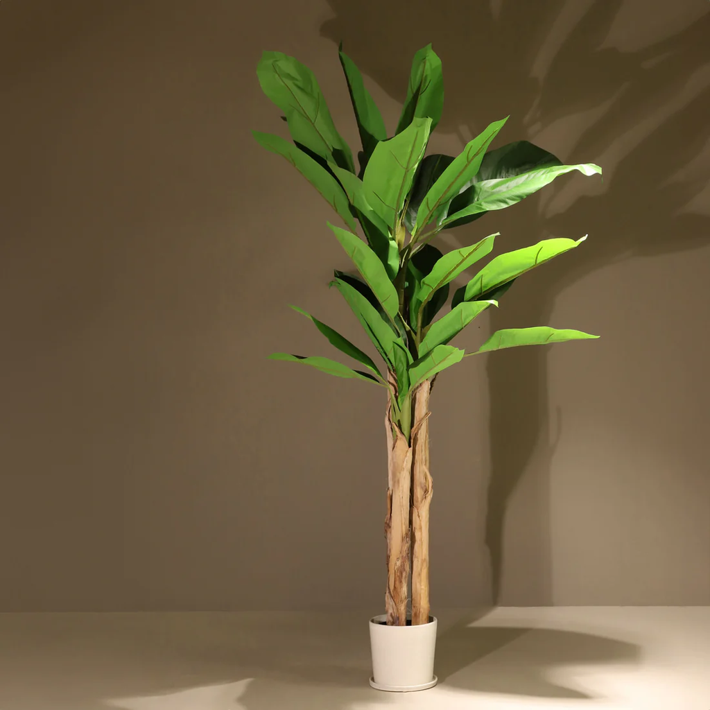 Top 3 Plantas Artificiales Ignífugas para Interiores Modernos