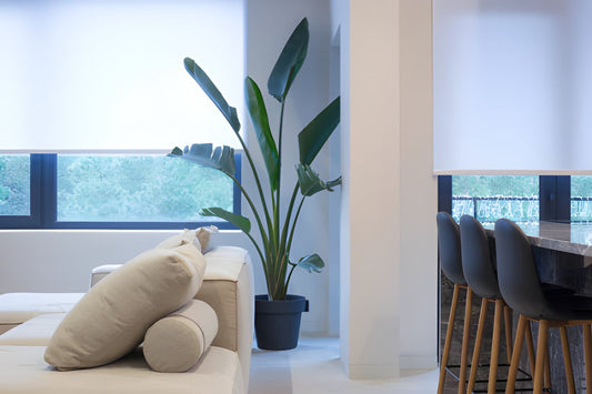 Decoración: Transforma tu Espacio con Plantas Artificiales