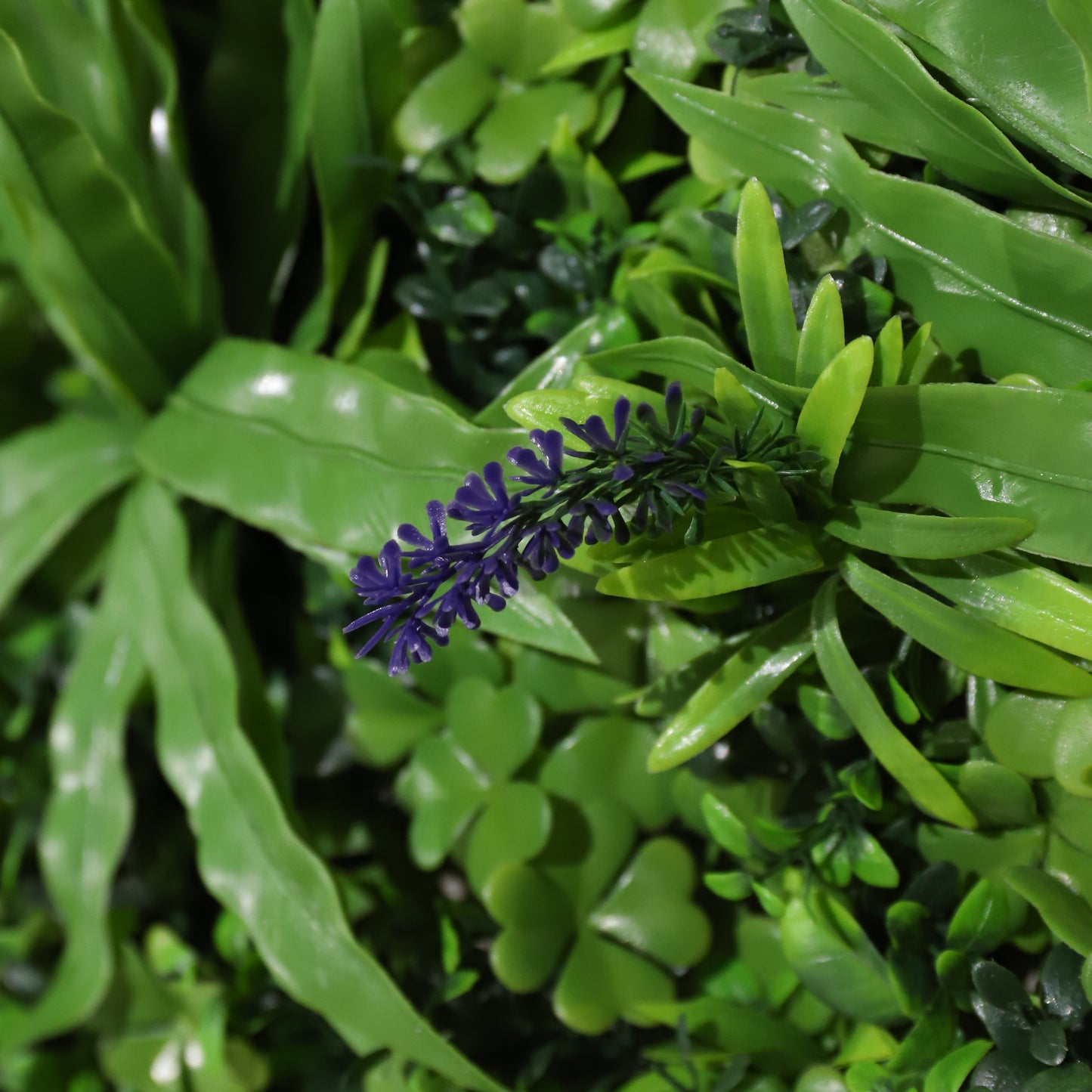 Selva