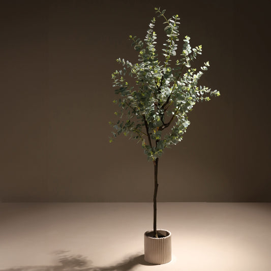 Eucalyptus tree