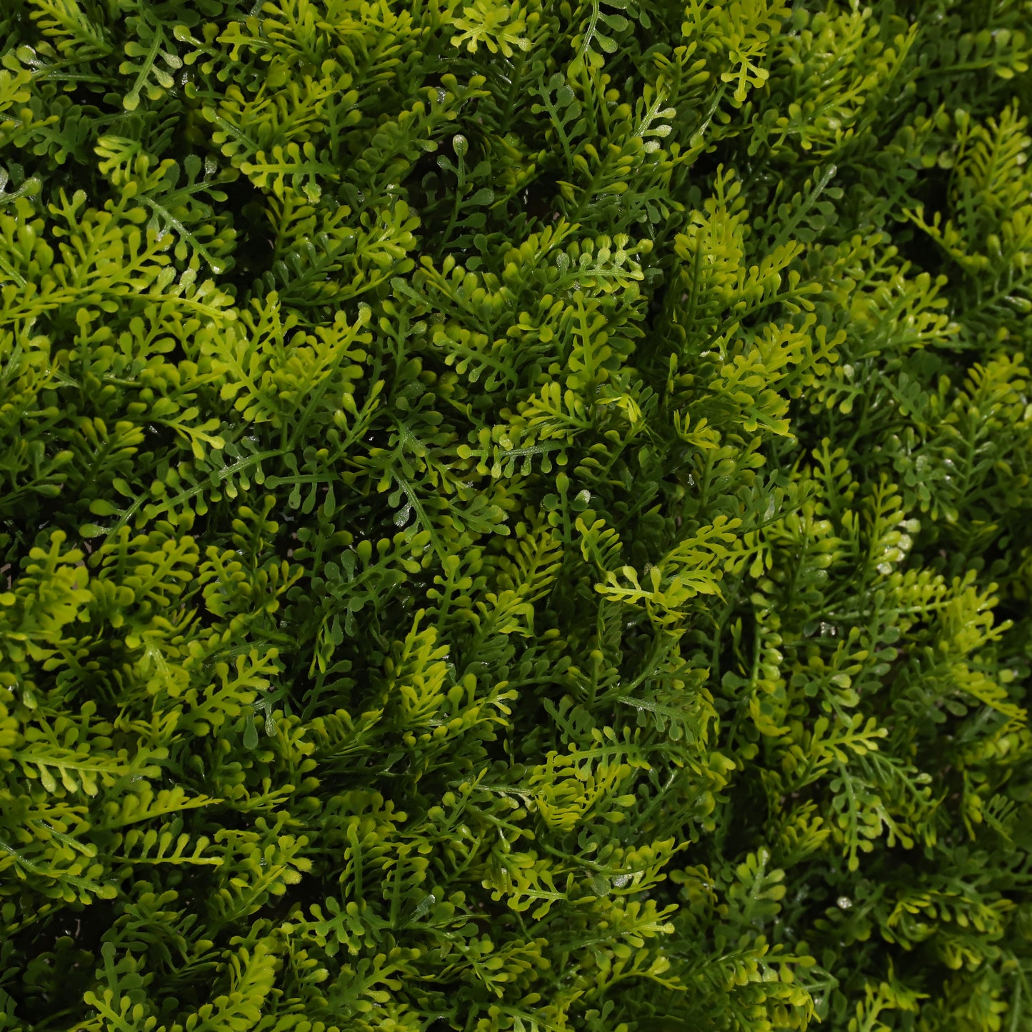 L'amour vert