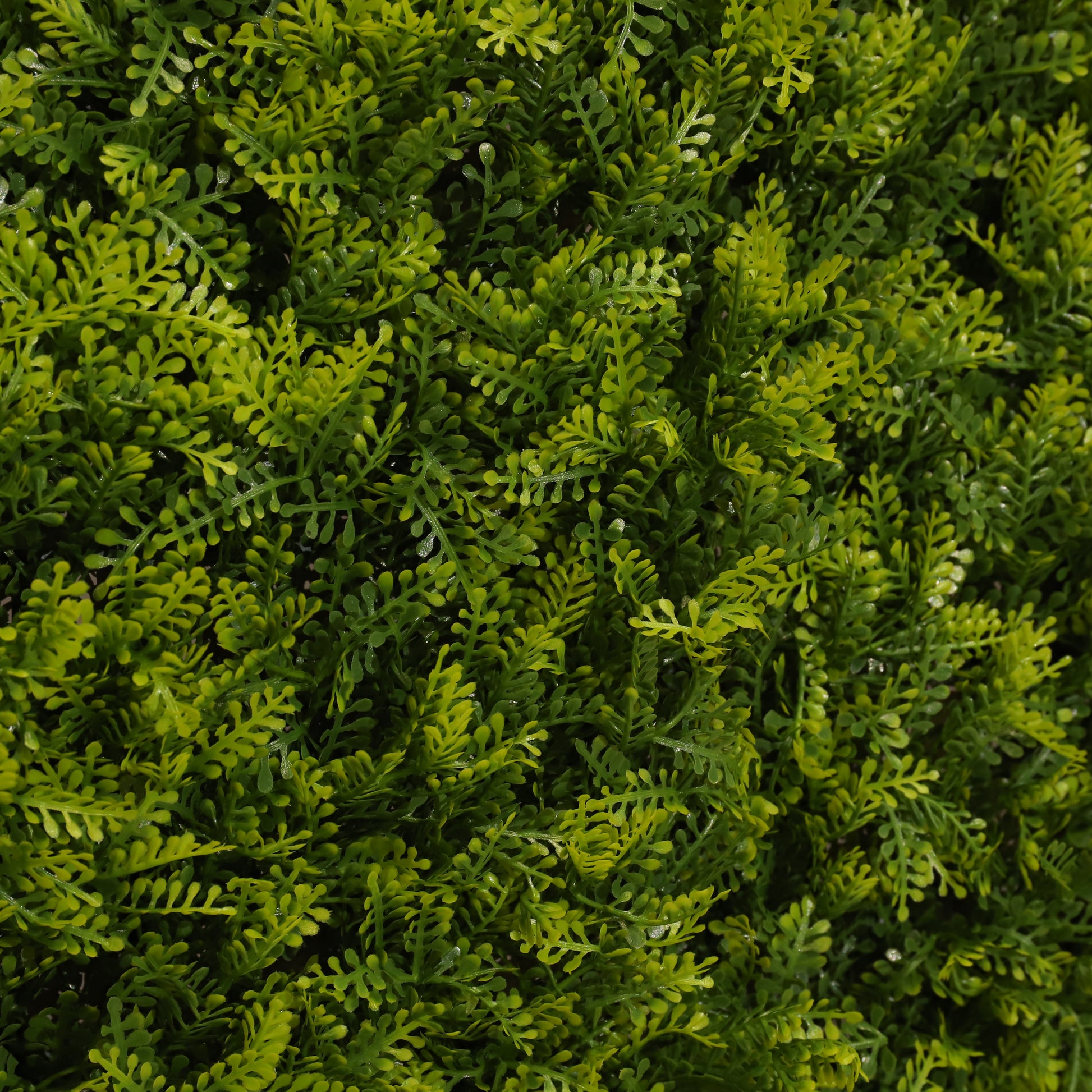 L'amour vert