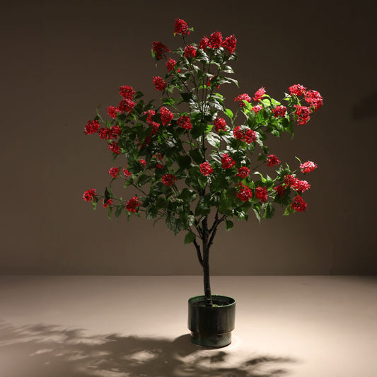 Pink paniculata hydrangea tree