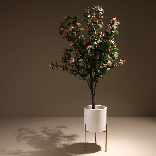 Light pink rose tree