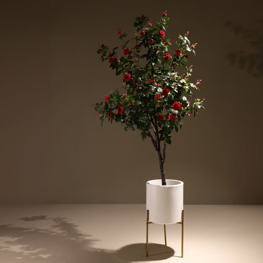 Fuchsia rose tree