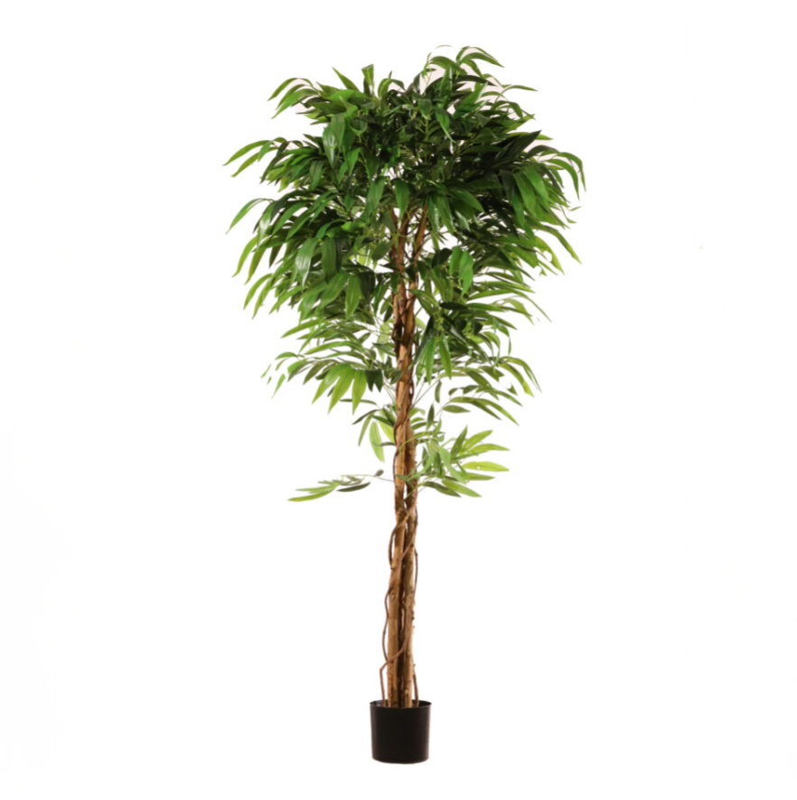 Árbol drácena 183 cm