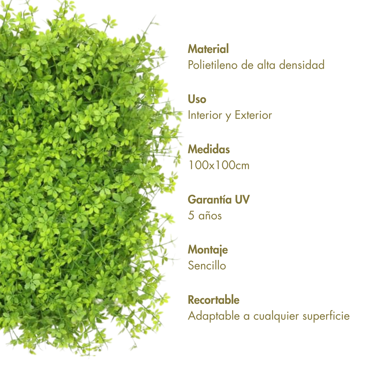 Acantilado