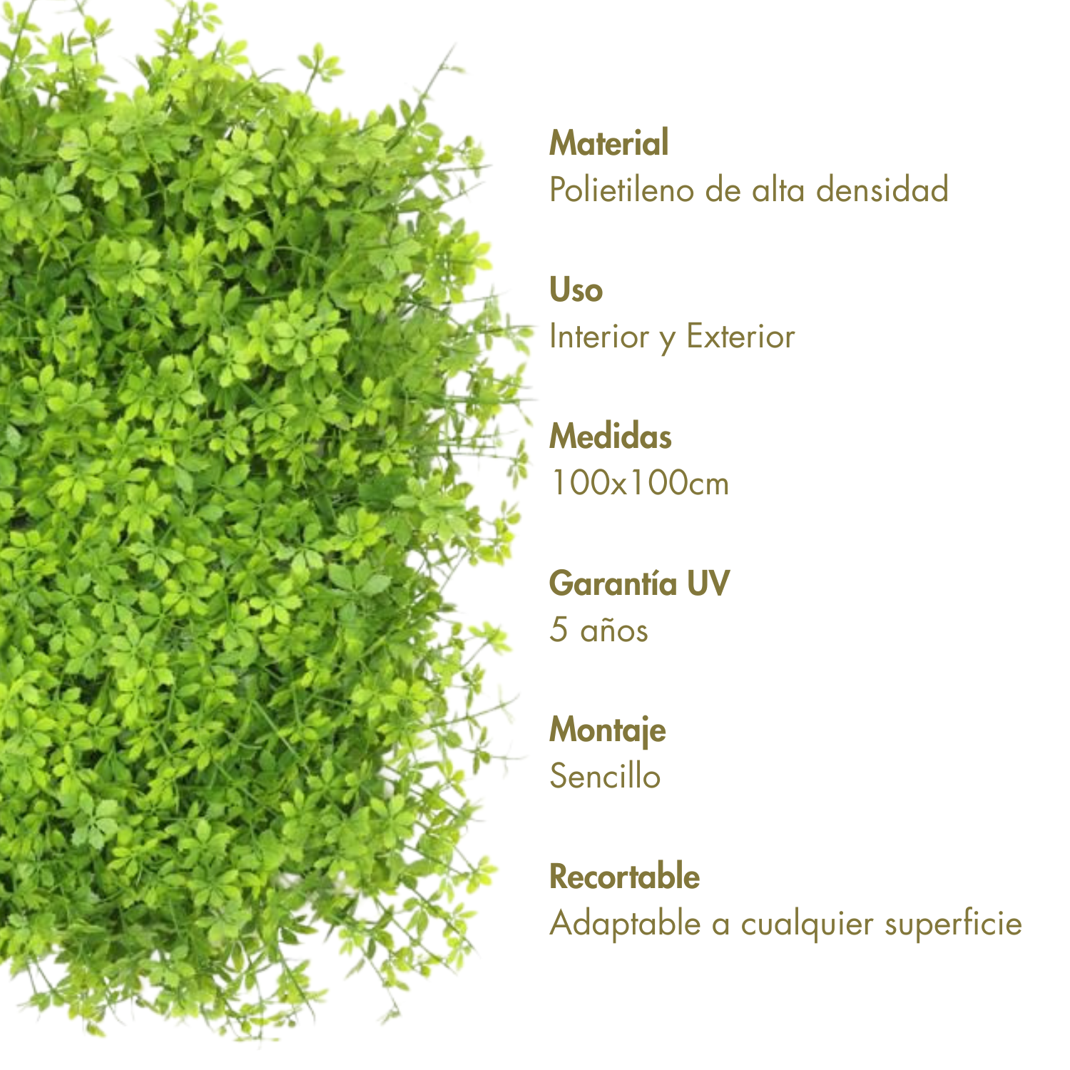 Acantilado