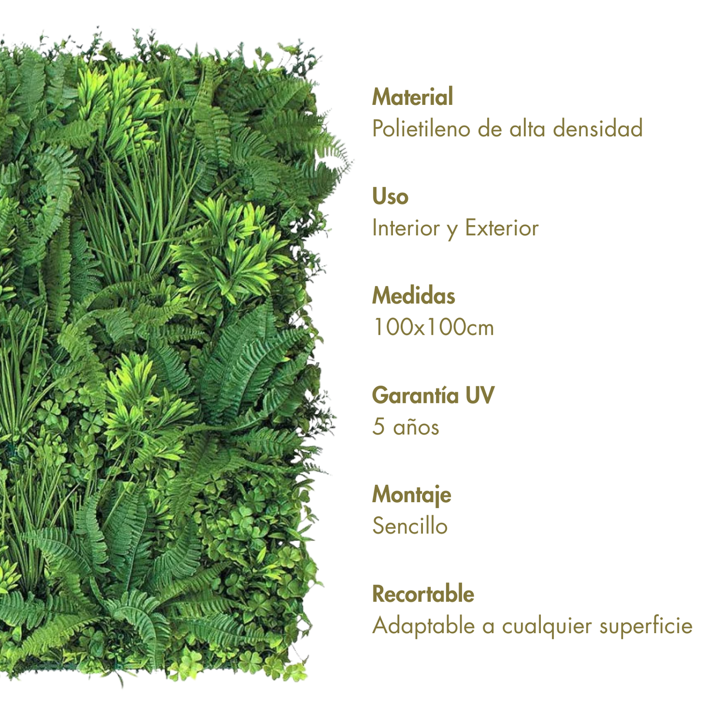 Cielo verde