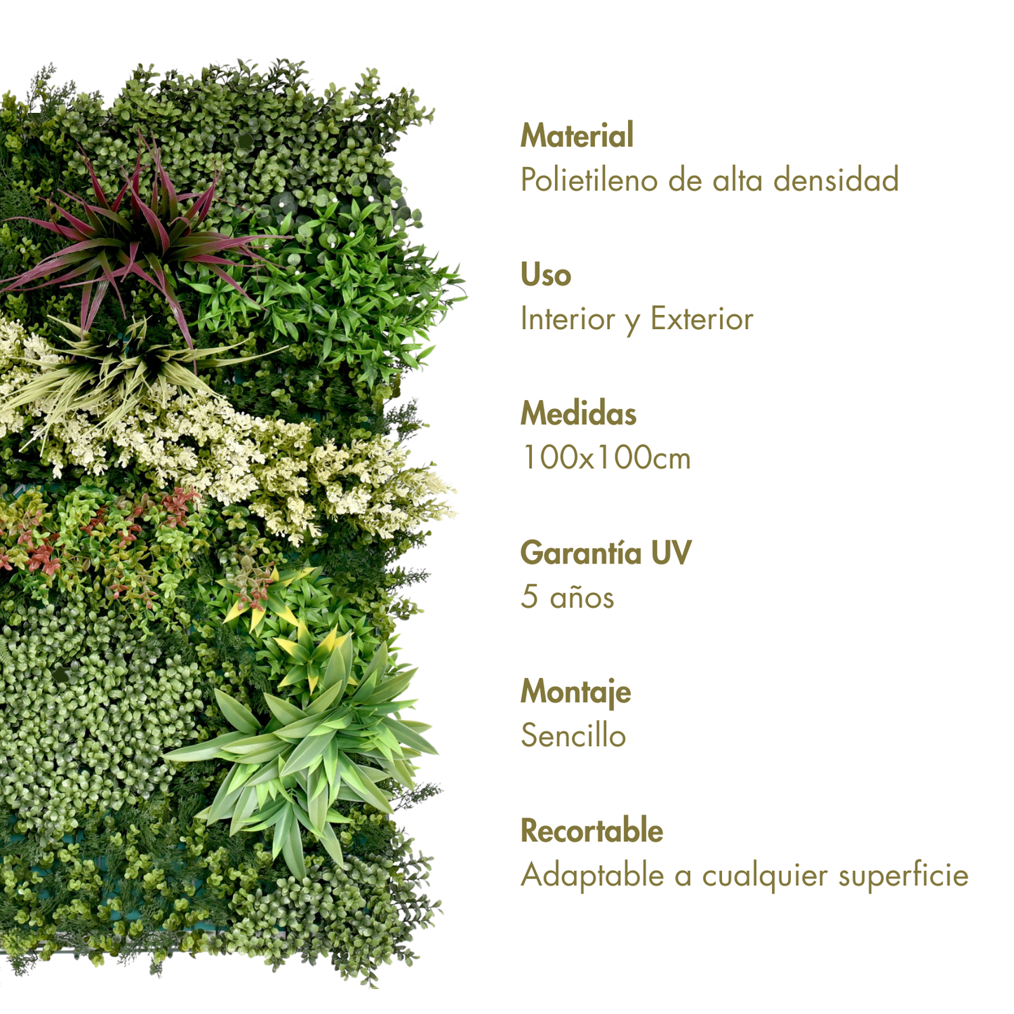 Combinado 1