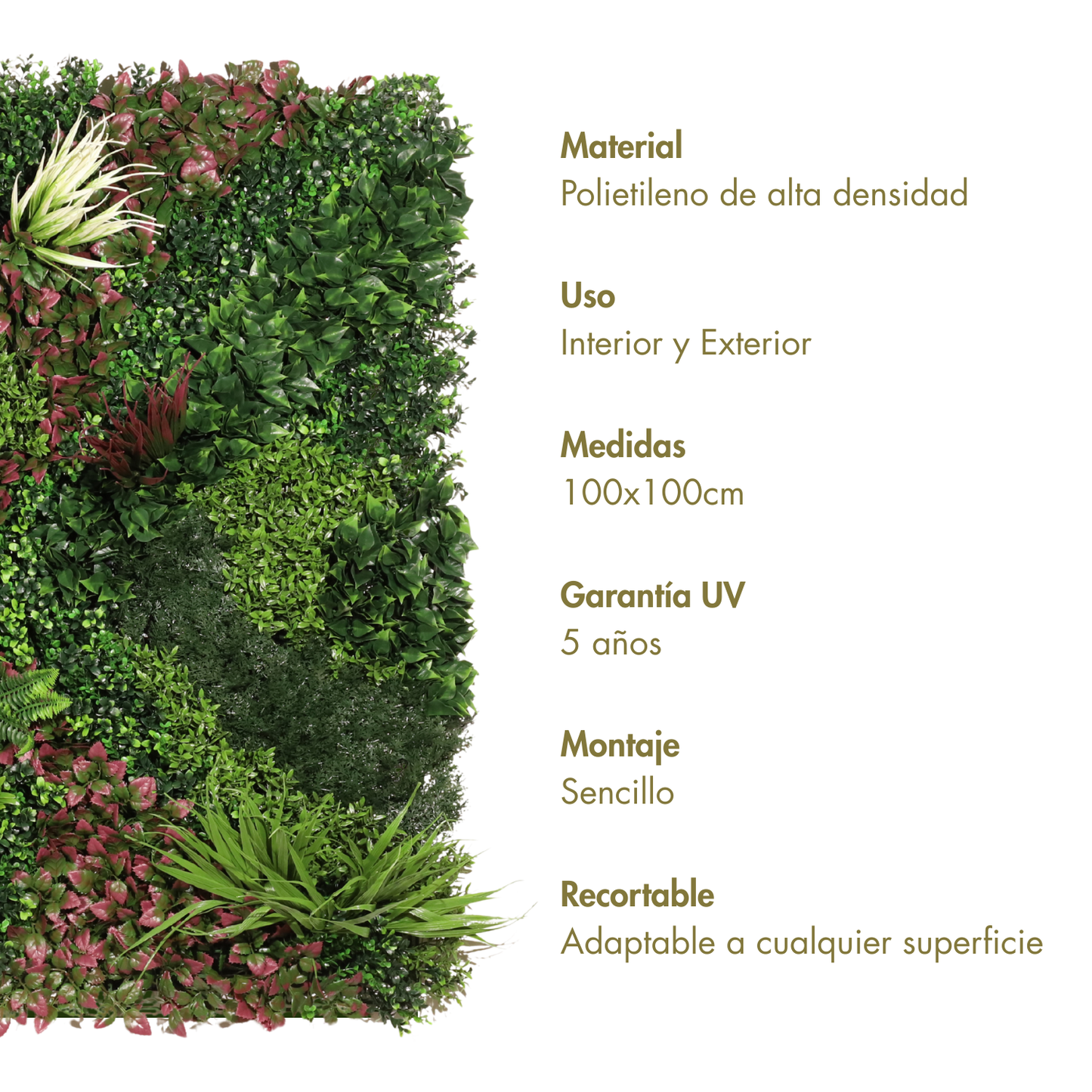 Combinado A