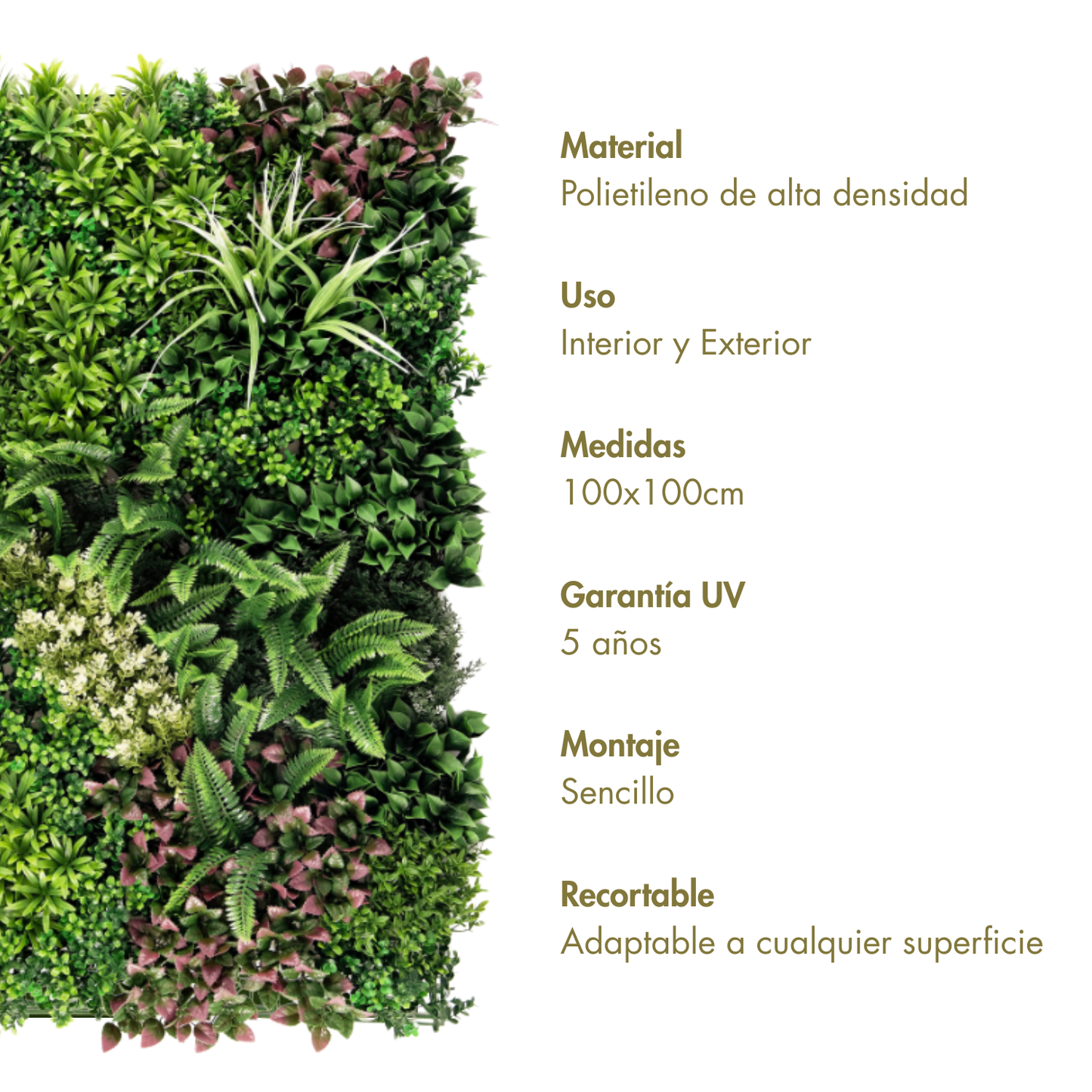 Combinado C