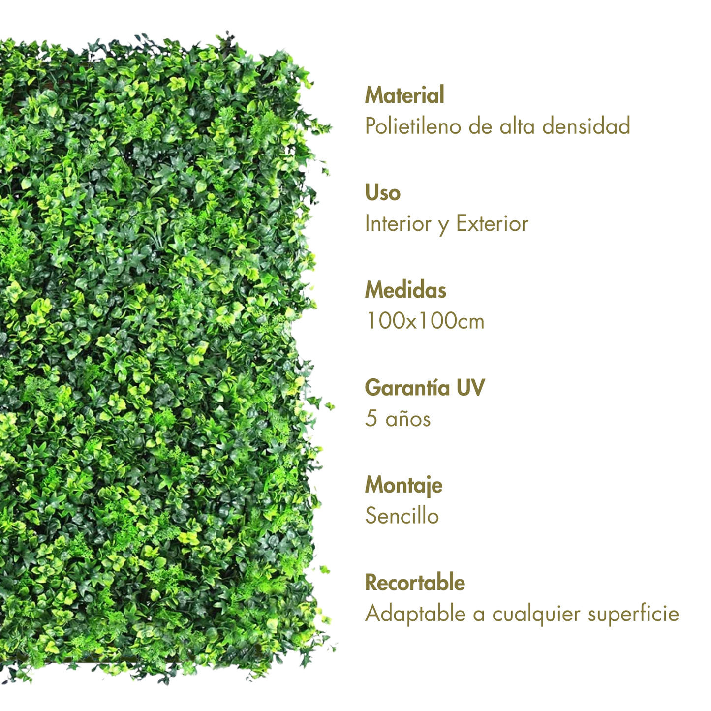 Cosecha