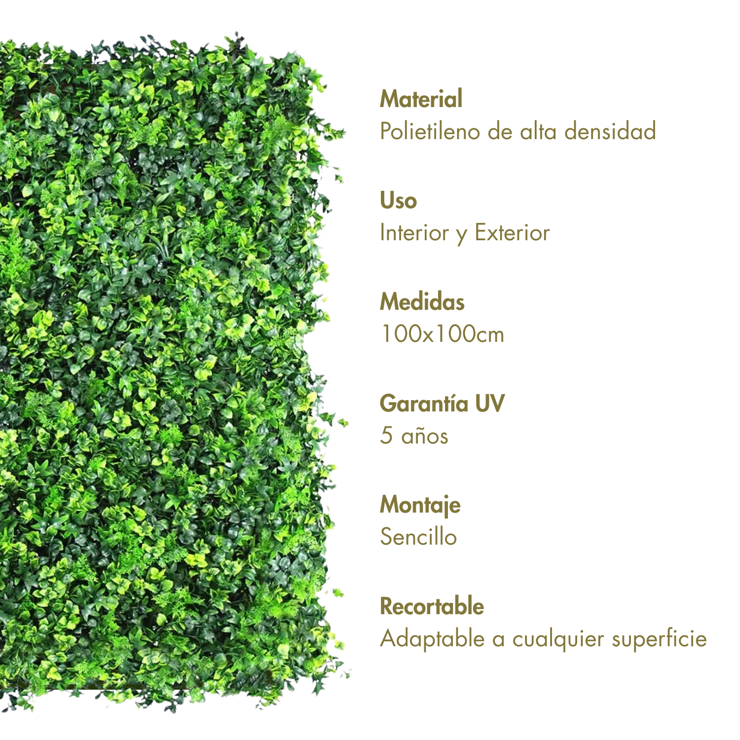 Cosecha