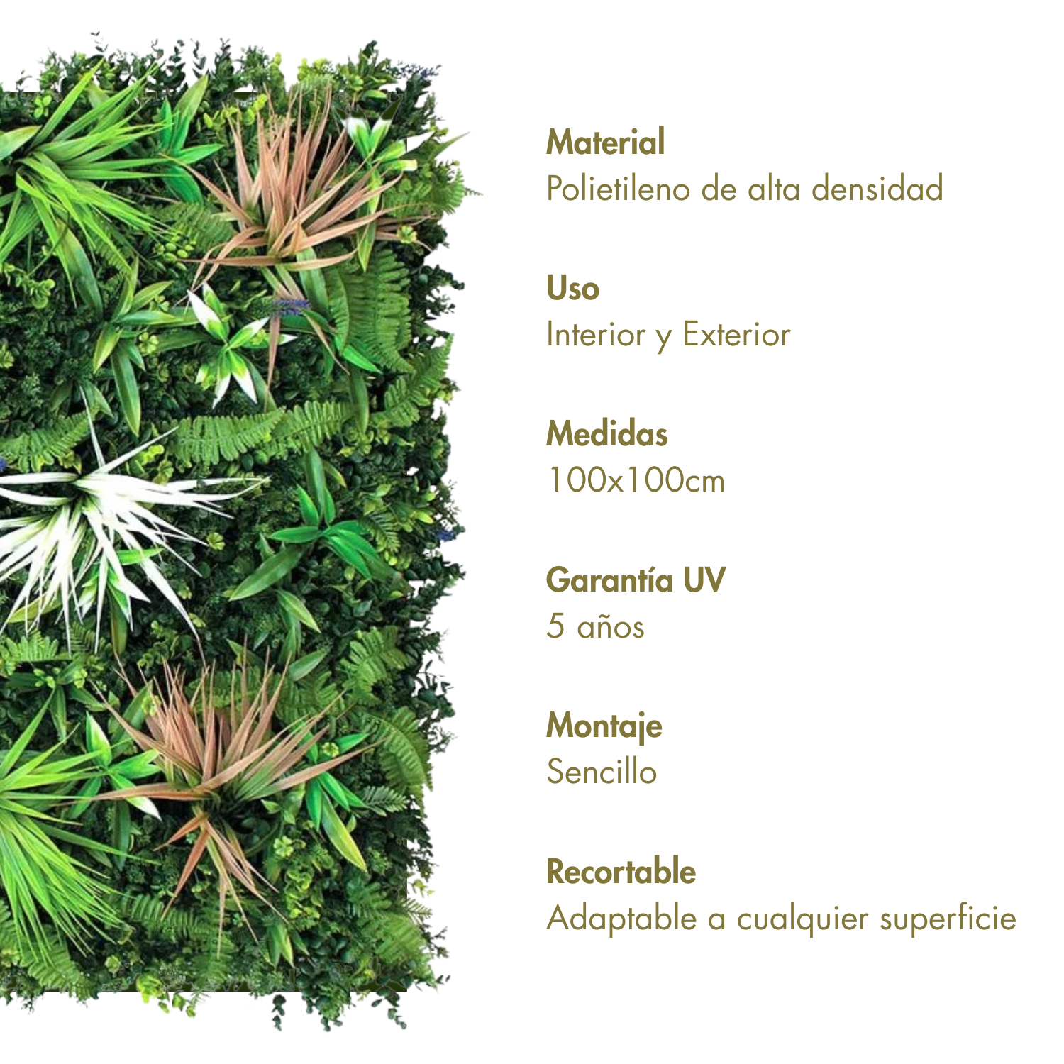 Estrellado