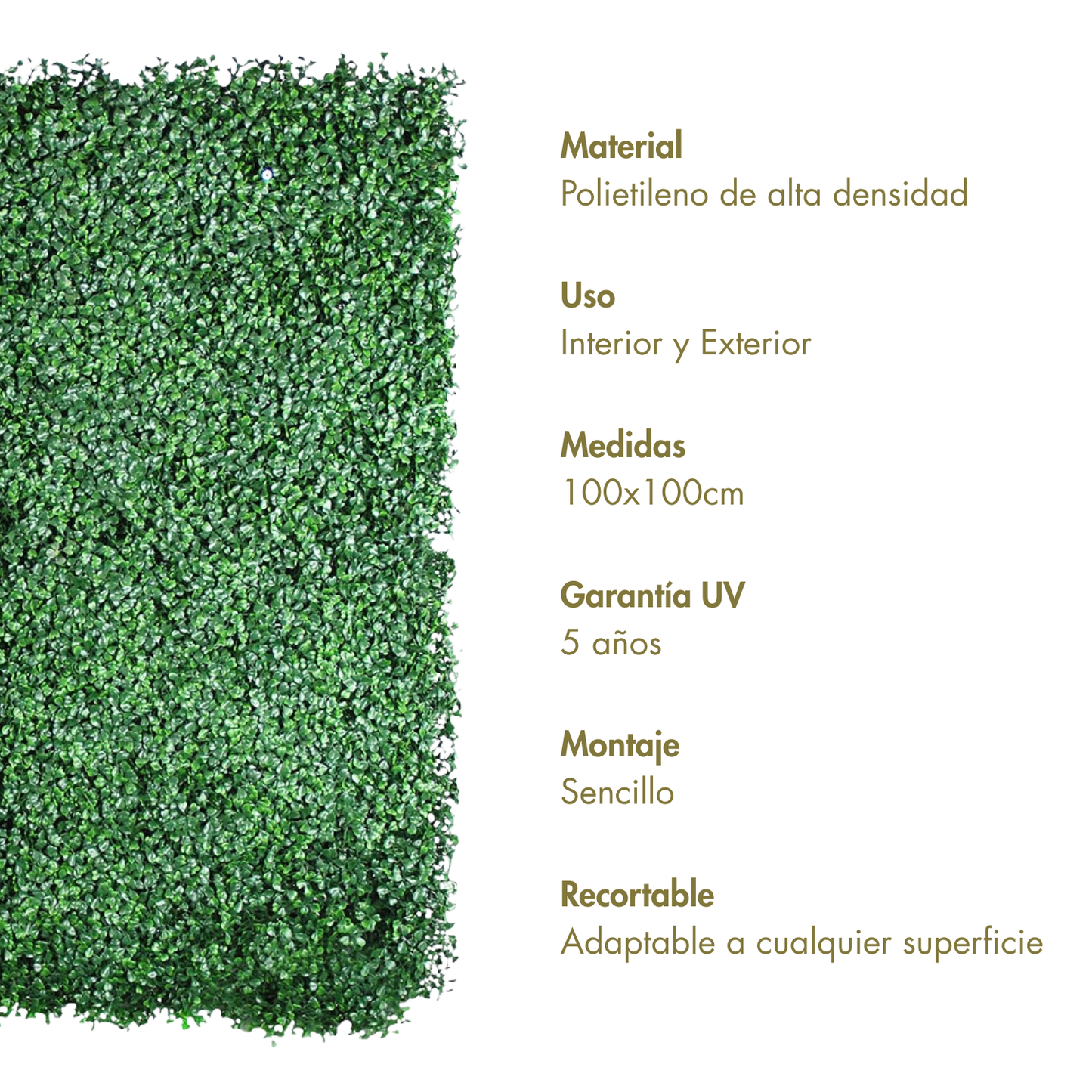 Griego