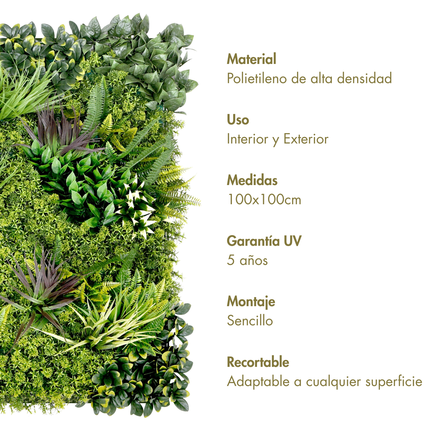Inspiración