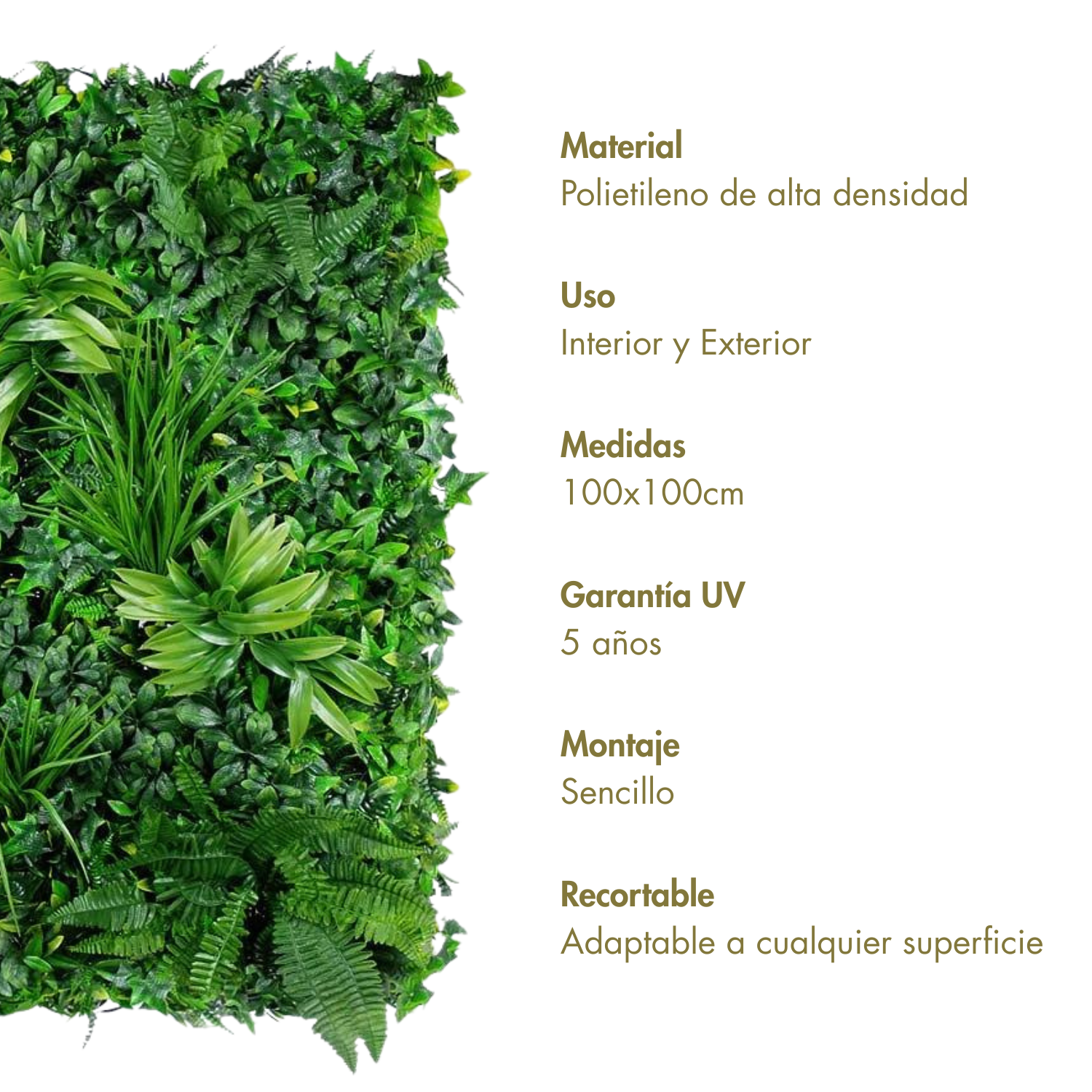 Jardín misterioso