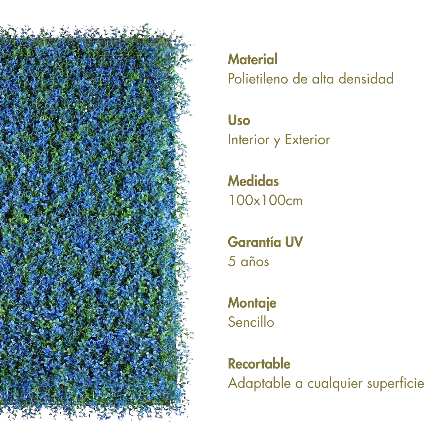 Oceánico