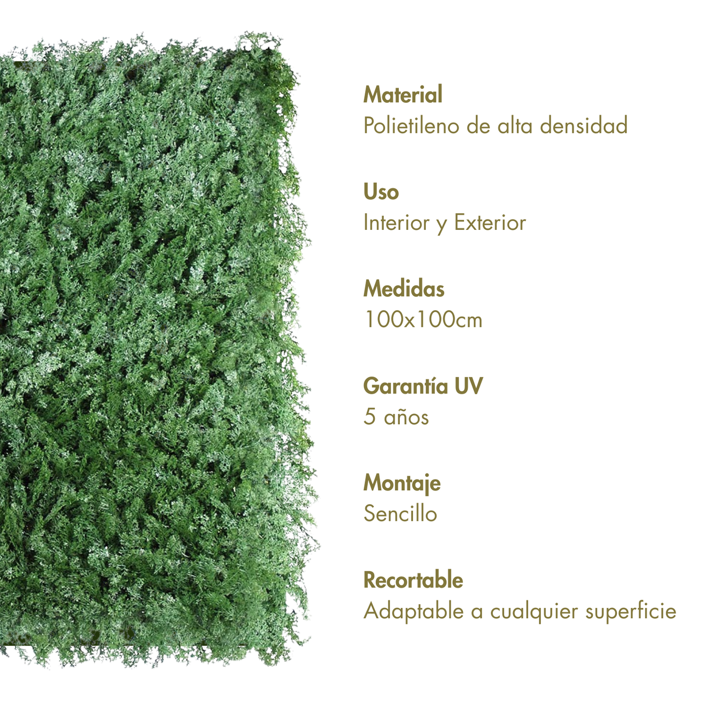 Prado verde