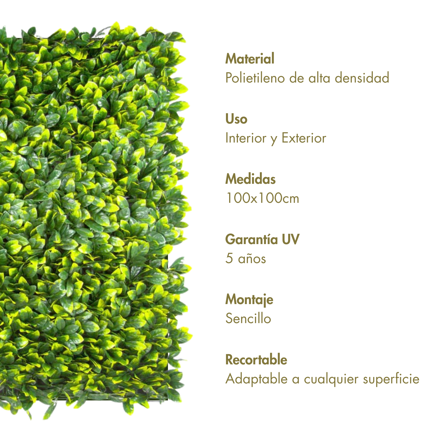 Rocío