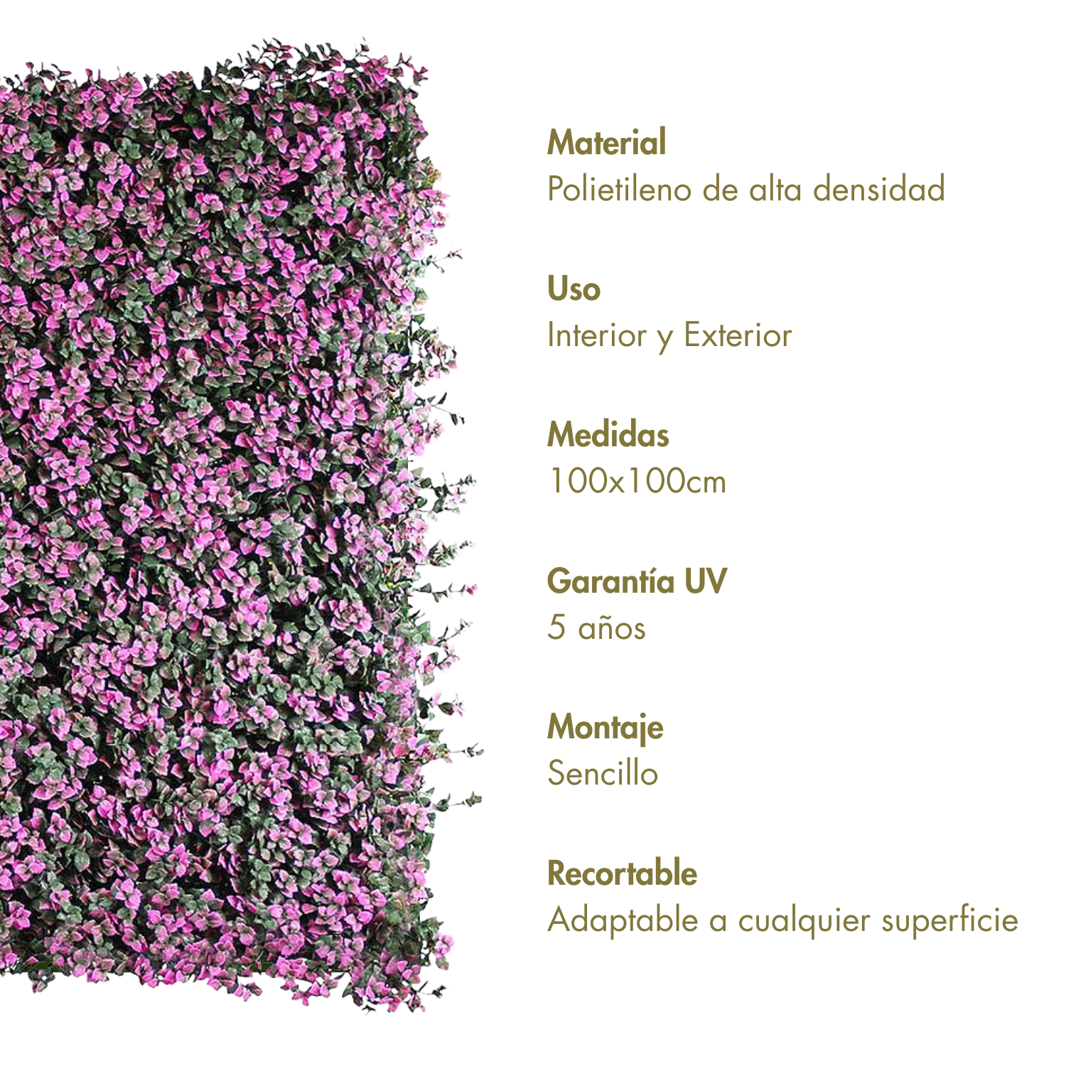 Rosado