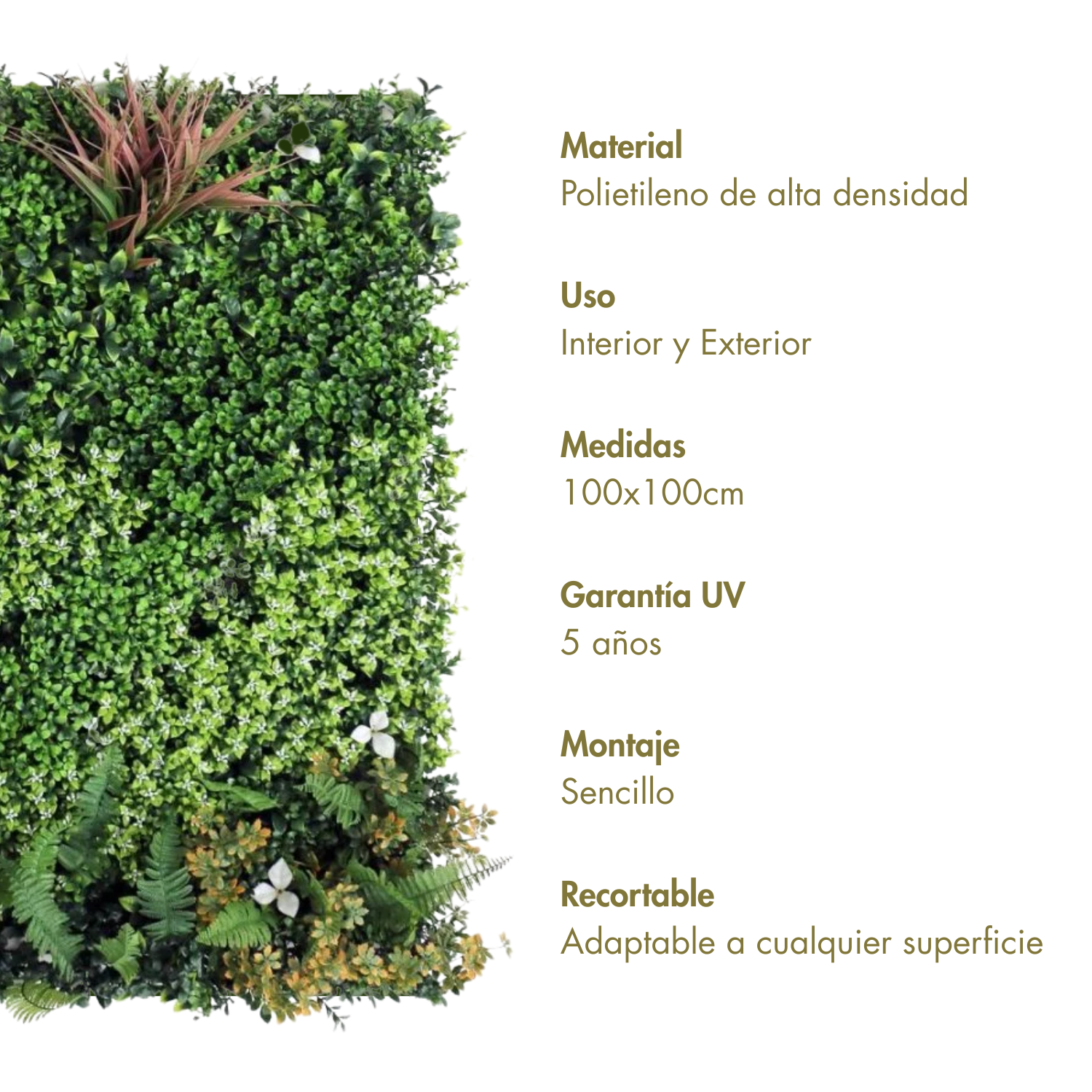 Secreto