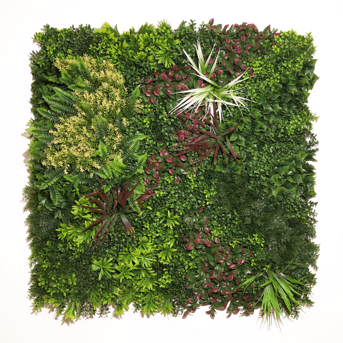 Nature A