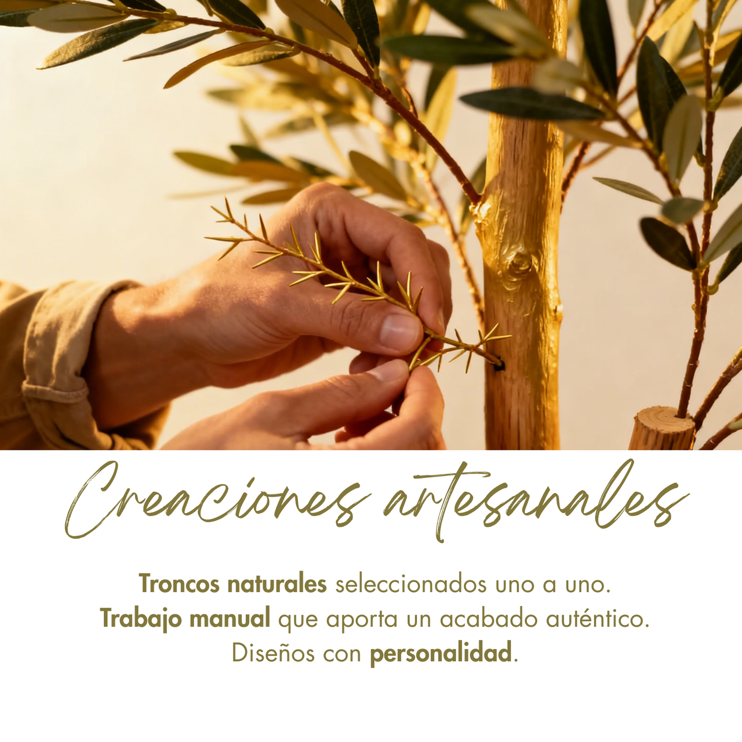 Olivo Mediterráneo 150cm