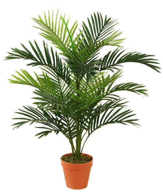 Palmera 85cm