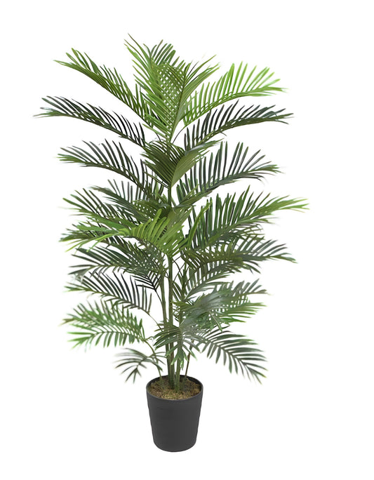 Palmera 150cm