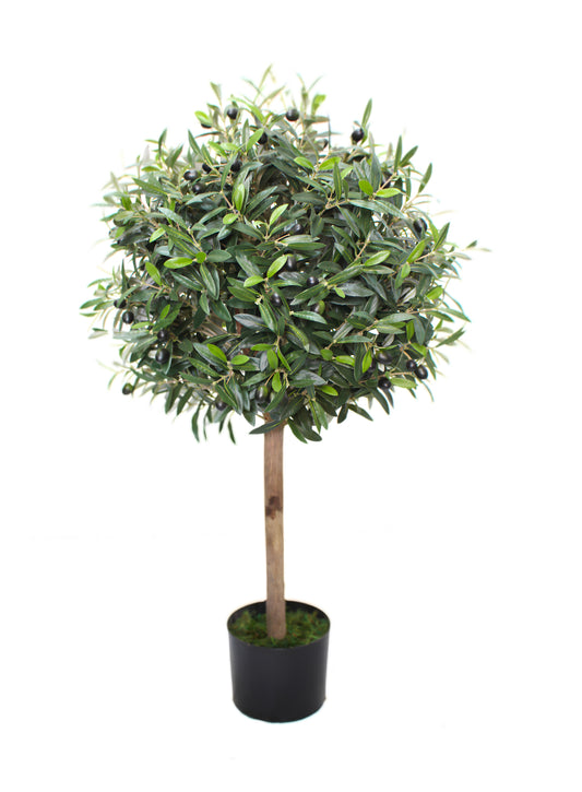 Olivo Aura 90 cm