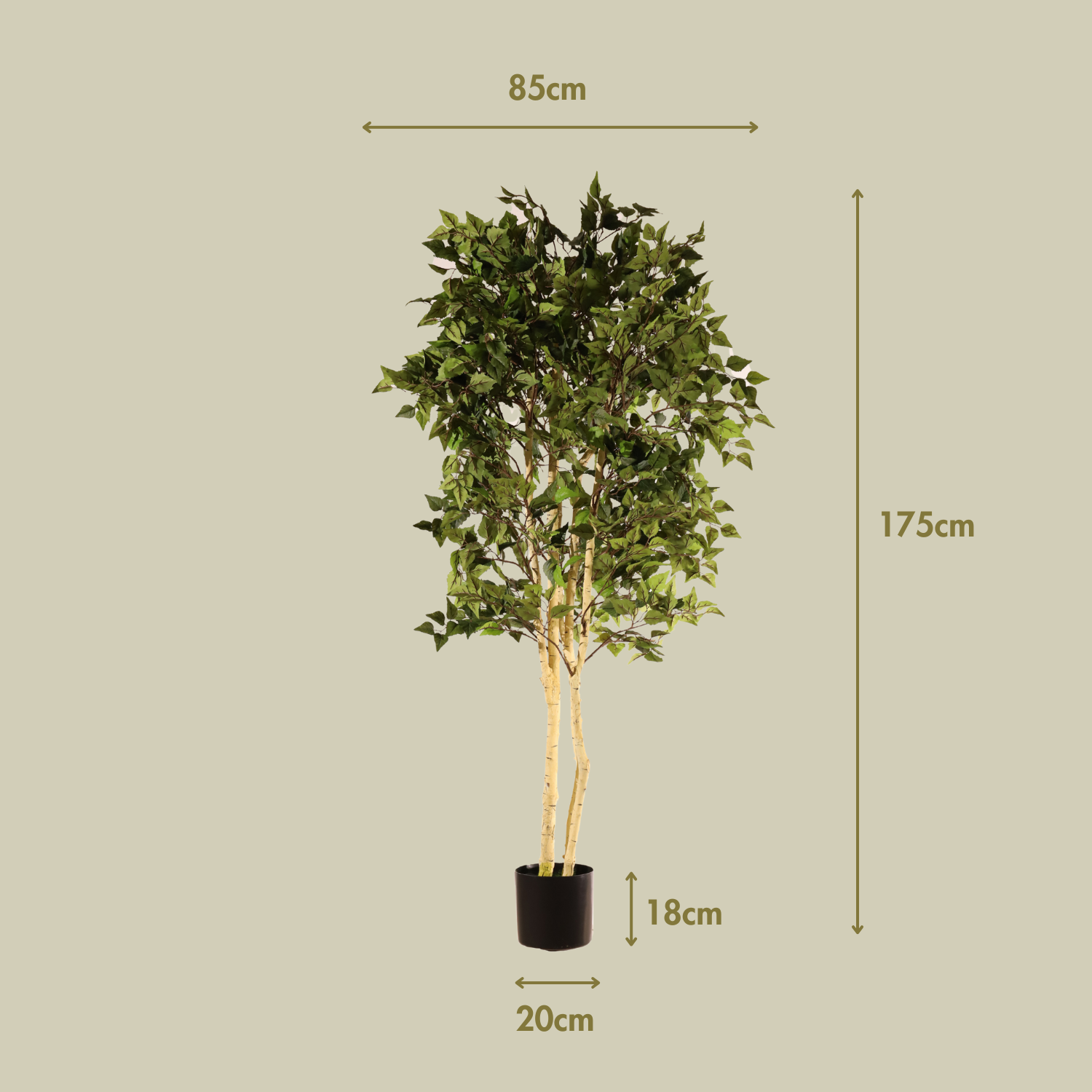 Abedul blanco ignífugo 175 cm