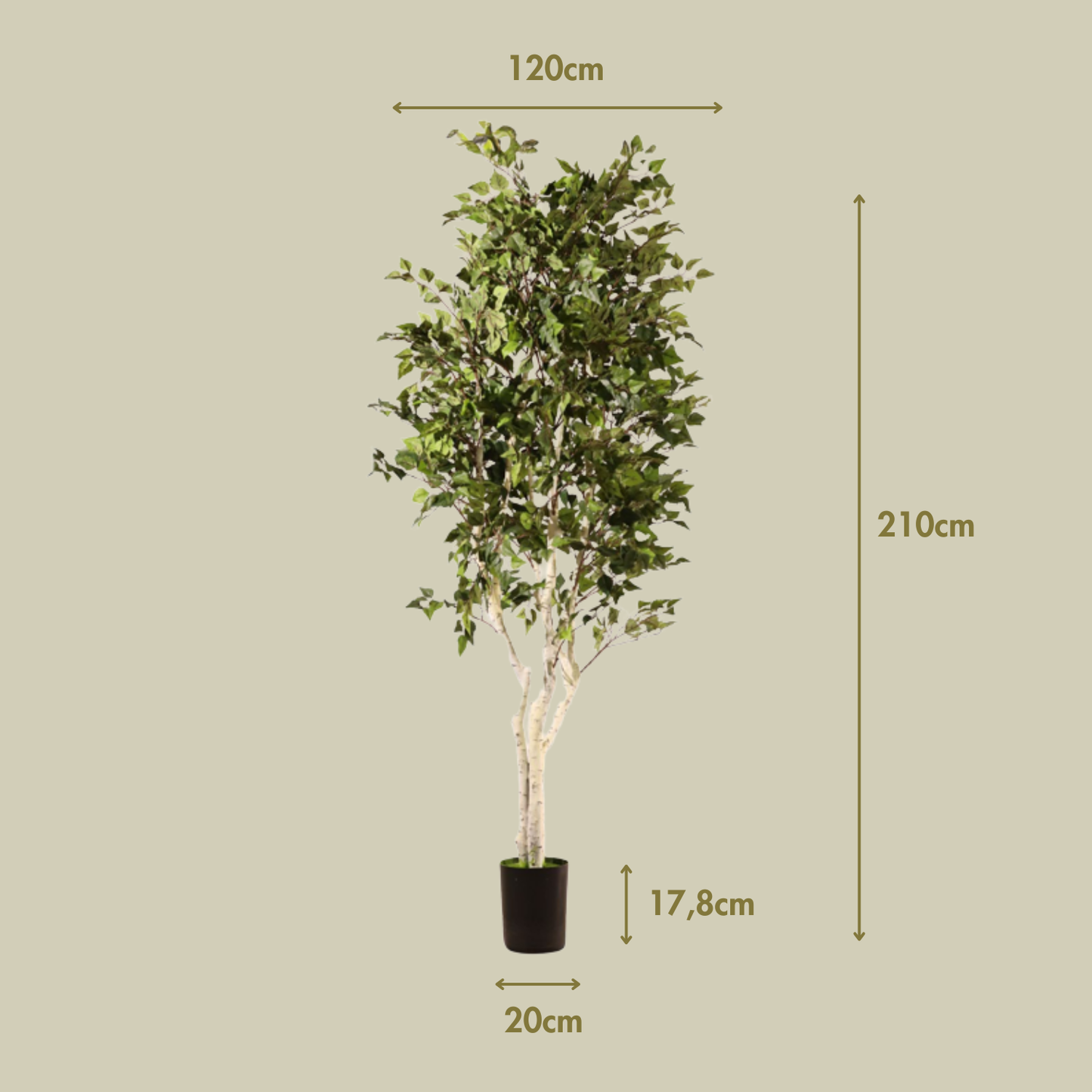 Abedul blanco ignífugo 210 cm