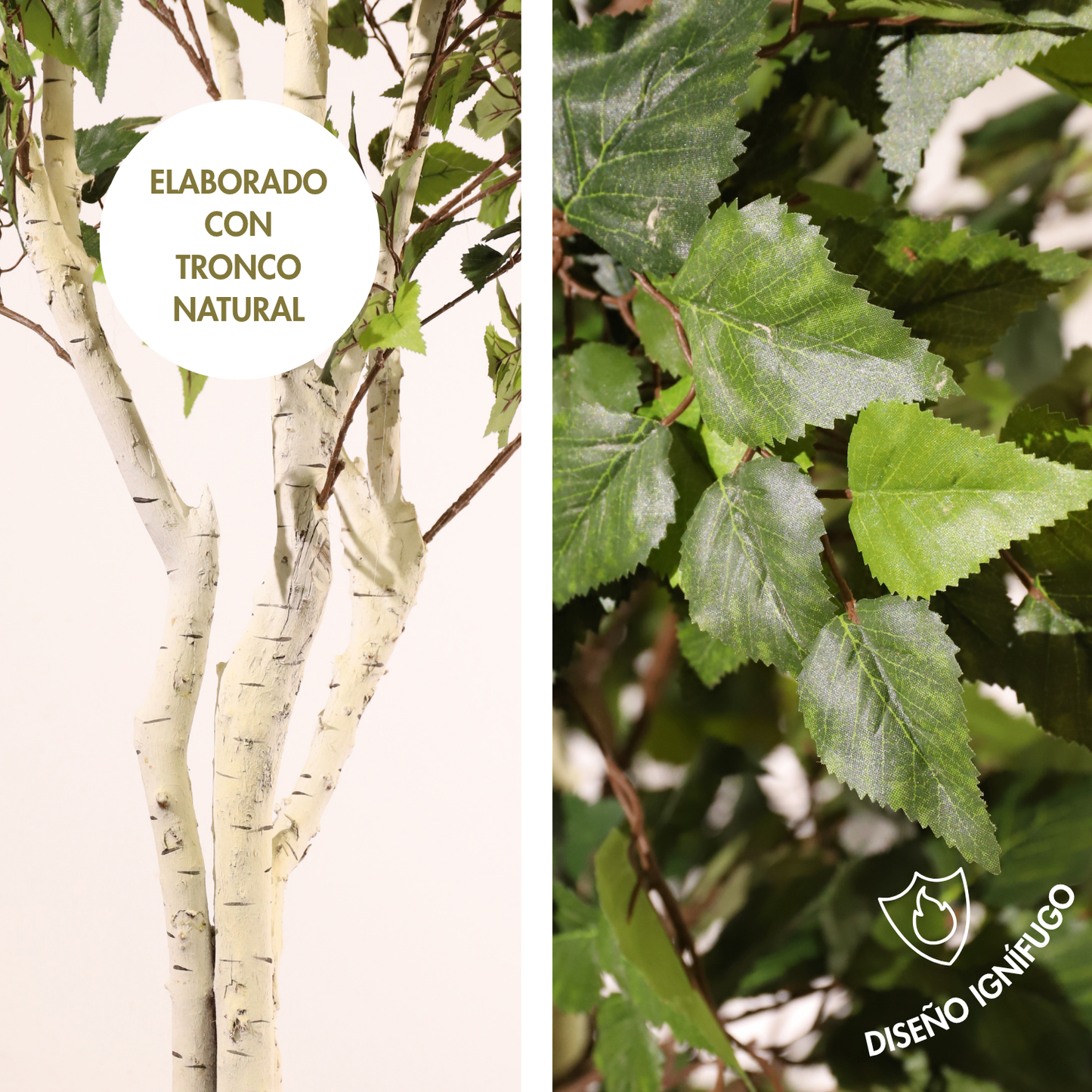 Abedul blanco ignífugo 210 cm